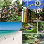 Cruise Shore Excursions